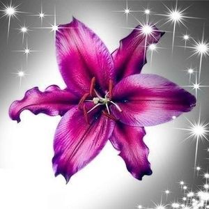 Meet your Posher, Patricia